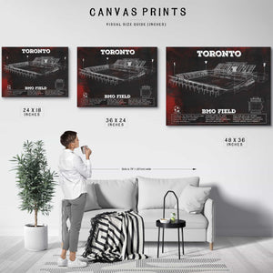 Toronto F.C. - BMO Field Vintage MLS Soccer Print 2