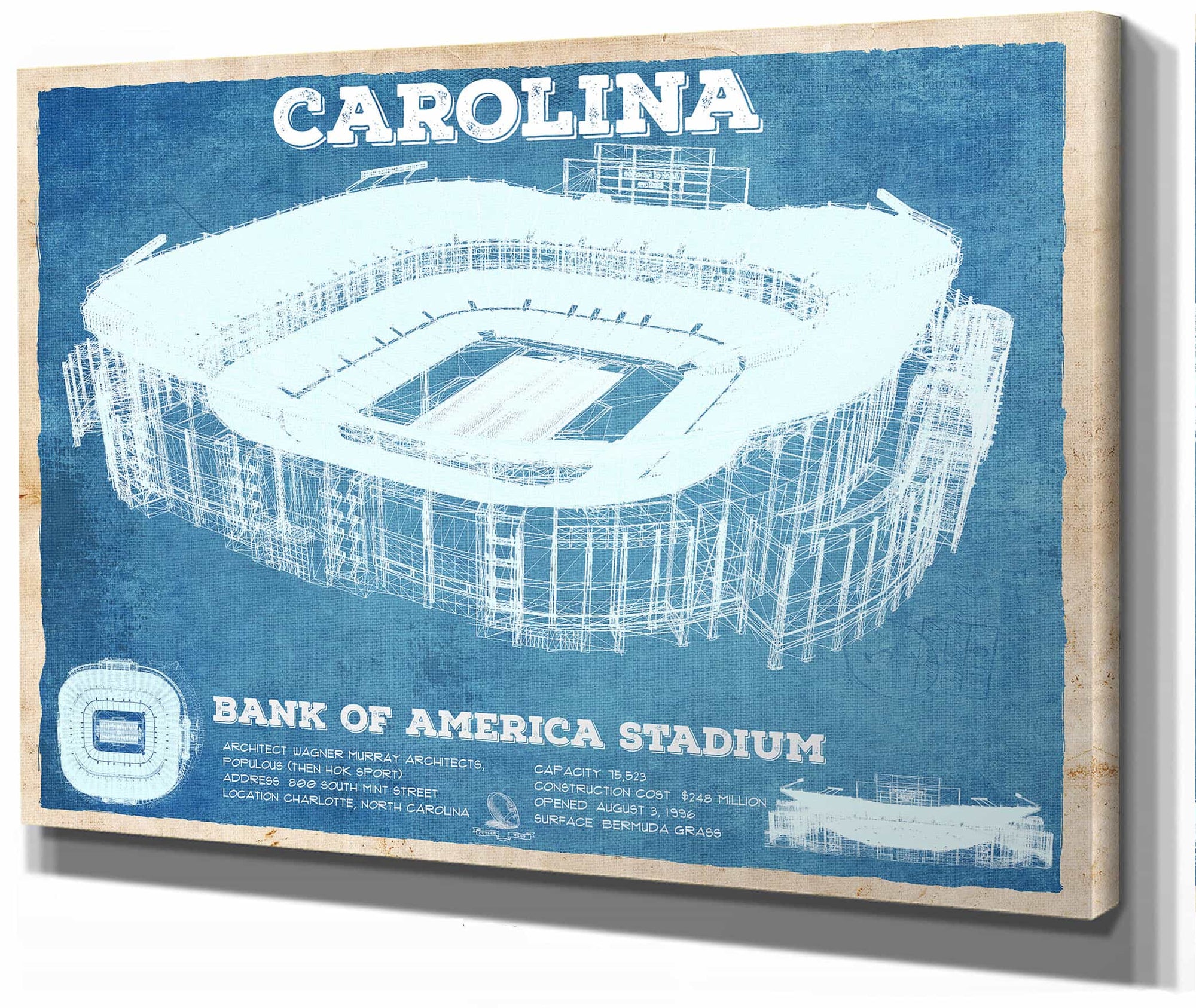 Carolina Panthers Stadium Art - Bank of America - Vintage Football Print