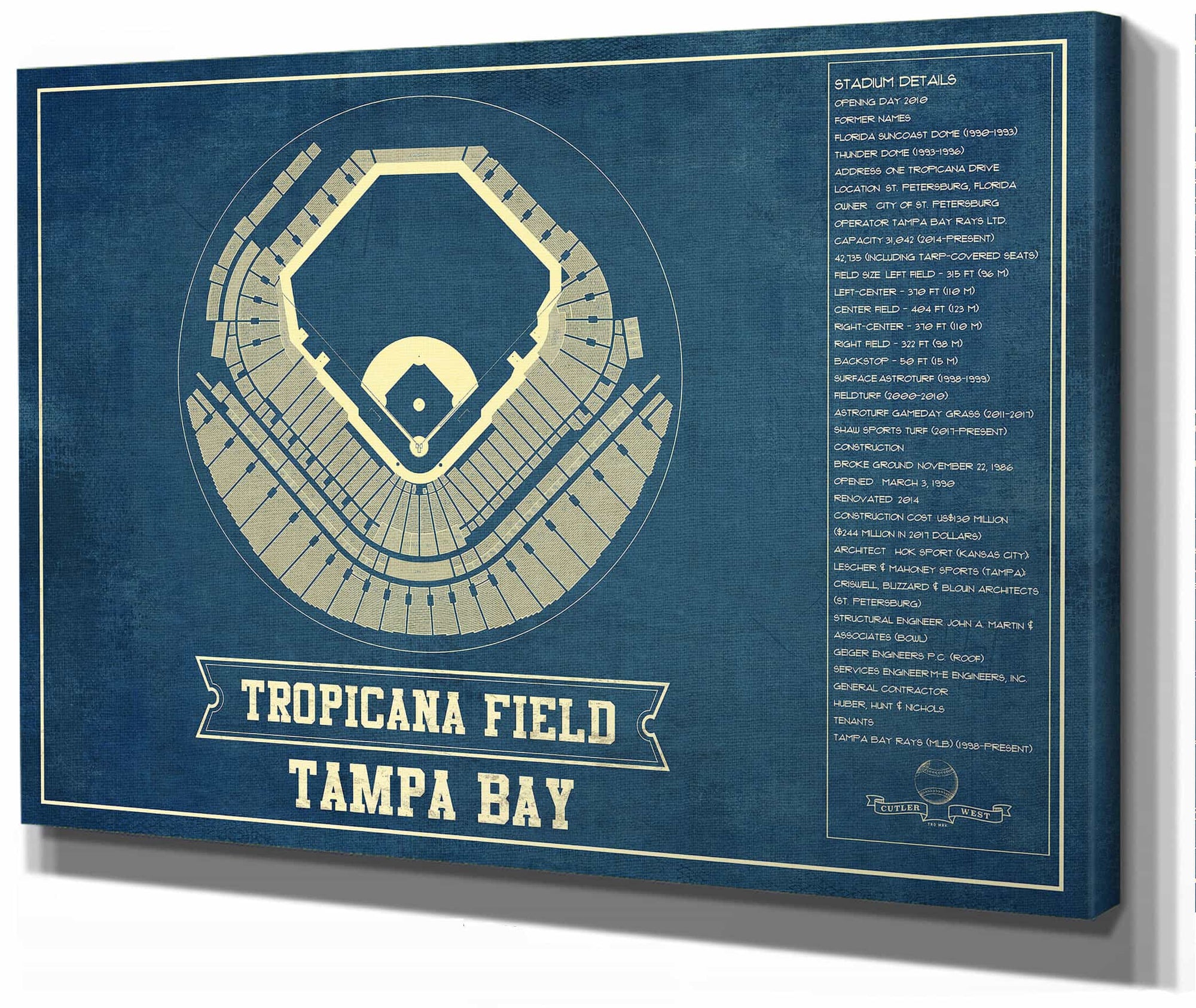 Tampa Bay Rays - Tropicana Field Vintage Baseball Print