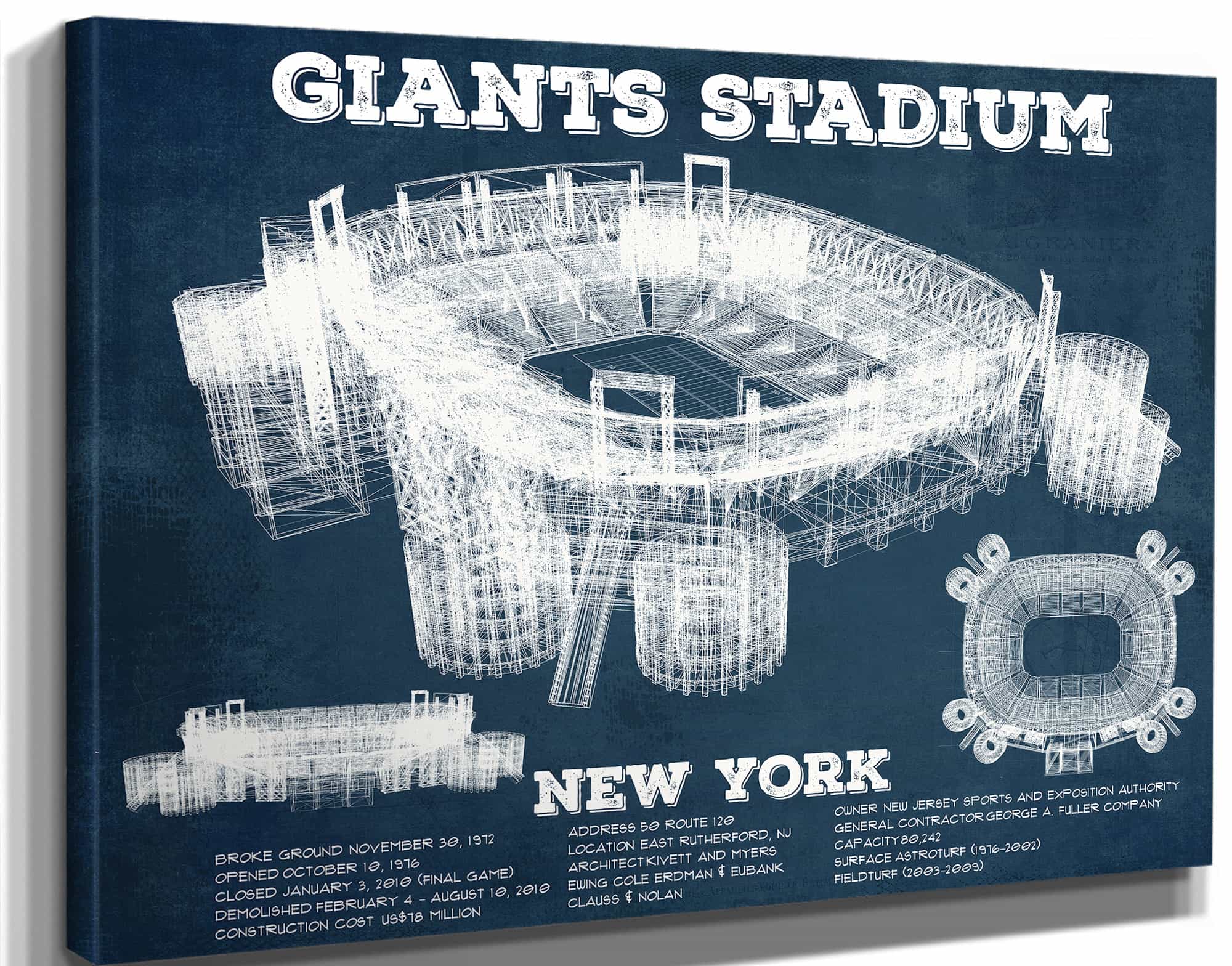 Giants Stadium - The Meadowlands New York Vintage Print
