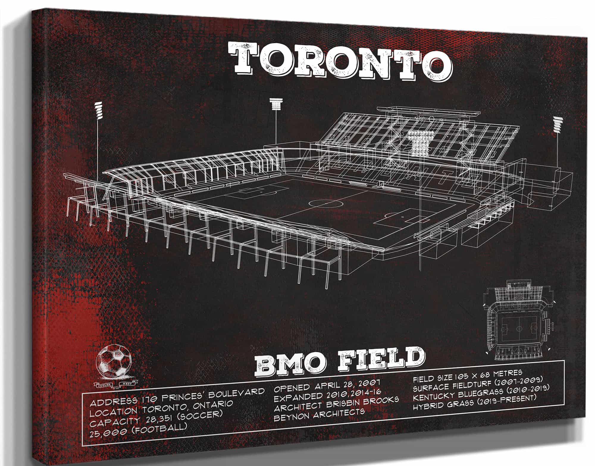 Toronto F.C. - BMO Field Vintage MLS Soccer Print 2