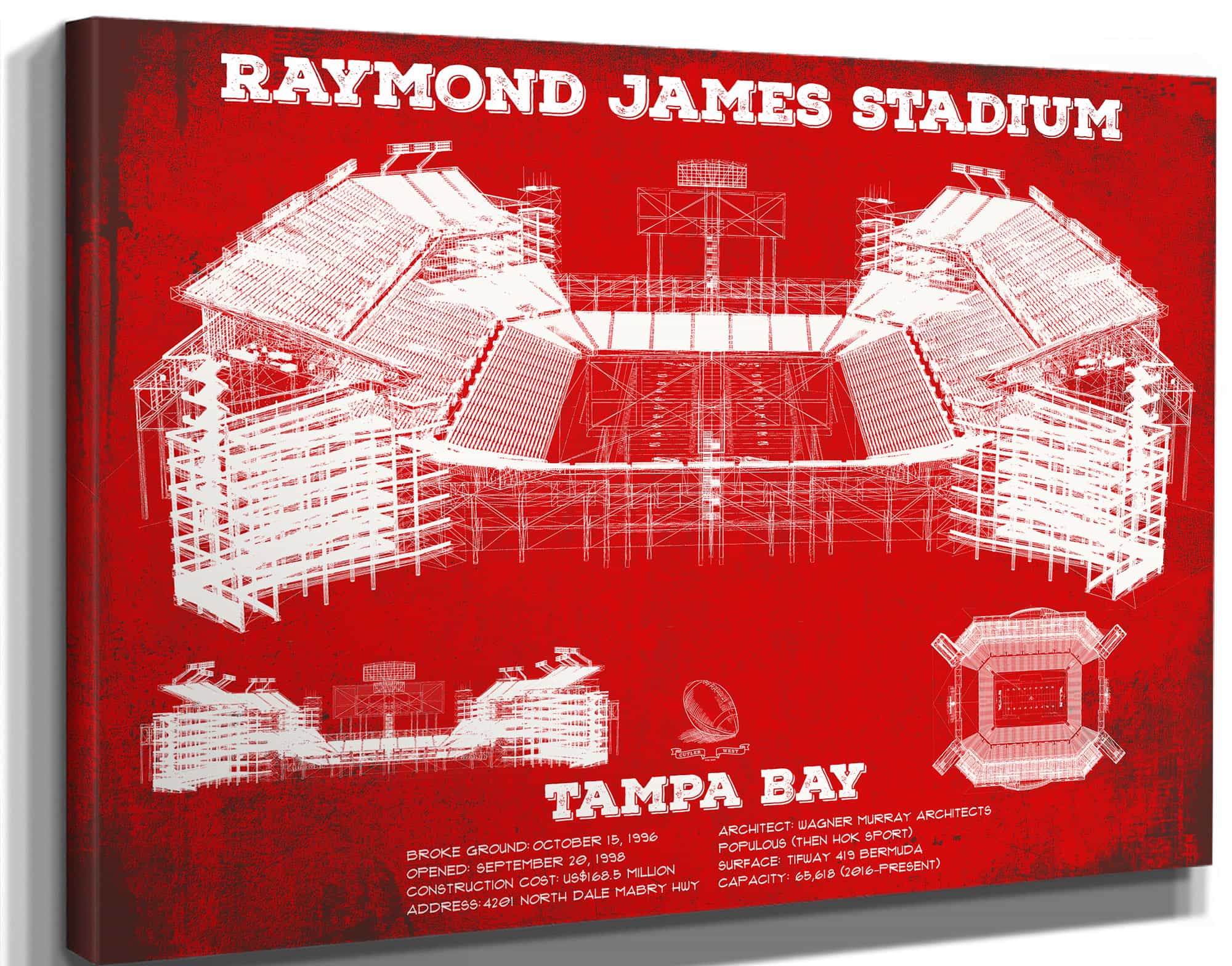 Vintage Tampa Bay Buccaneers Team Color - Raymond James Stadium Print