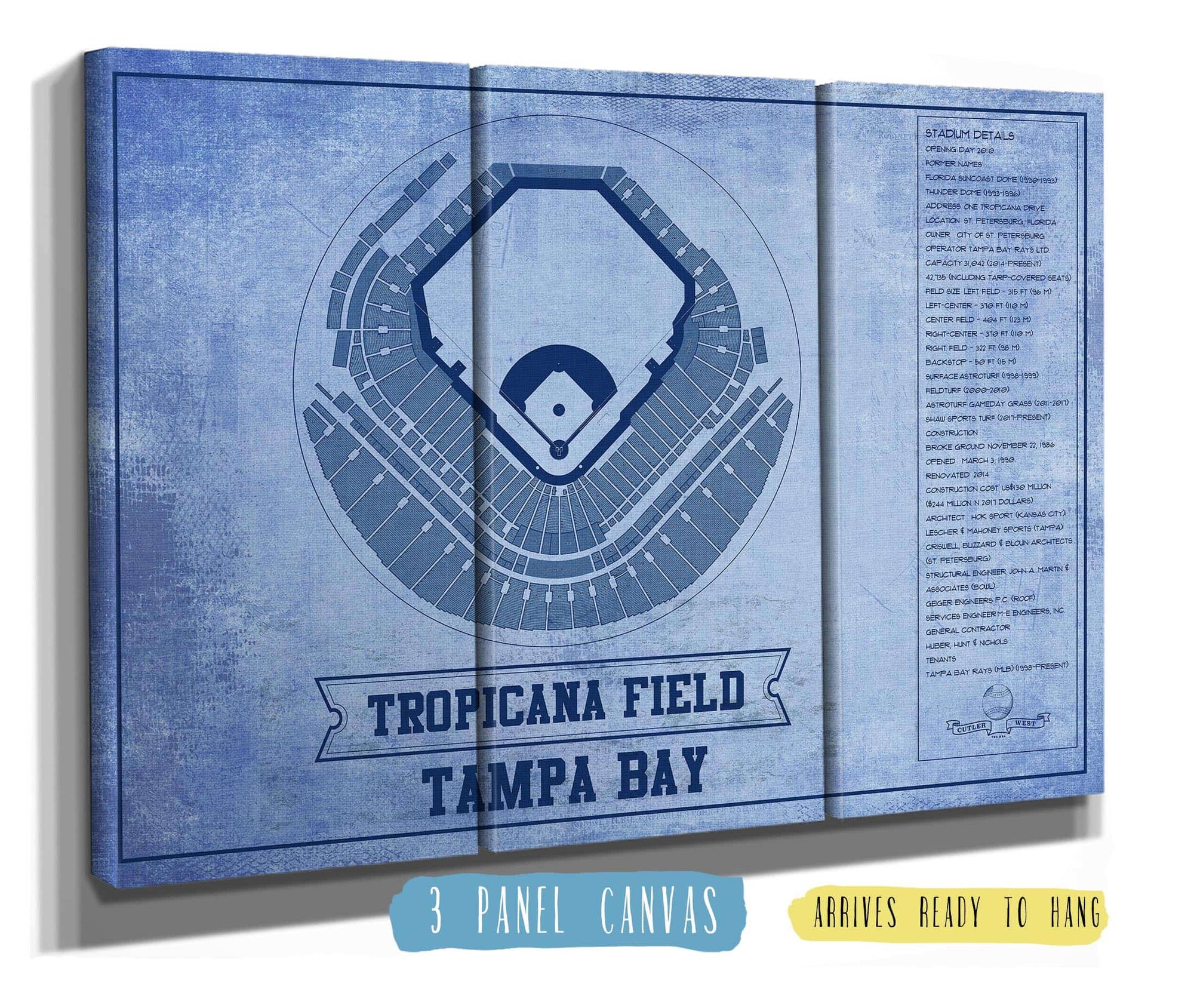Cutler West Tampa Bay Rays - Tropicana Field Vintage Baseball Print - Team Color