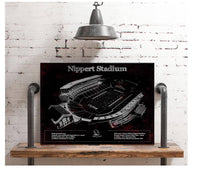 Cutler West Pro Football Collection Cincinnati Bearcats - Vintage Nippert Stadium Team Color Art Print