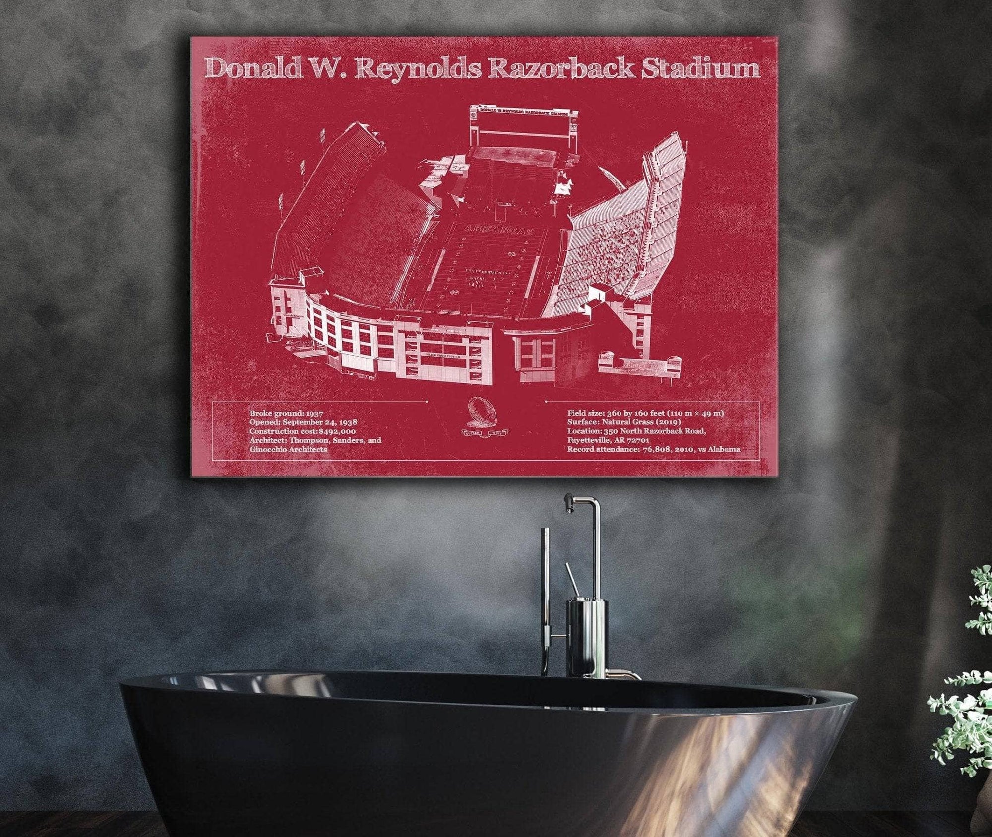 Cutler West College Football Collection Donald W. Reynolds Razorback Stadium Art - Arkansas Razorbacks Football Art