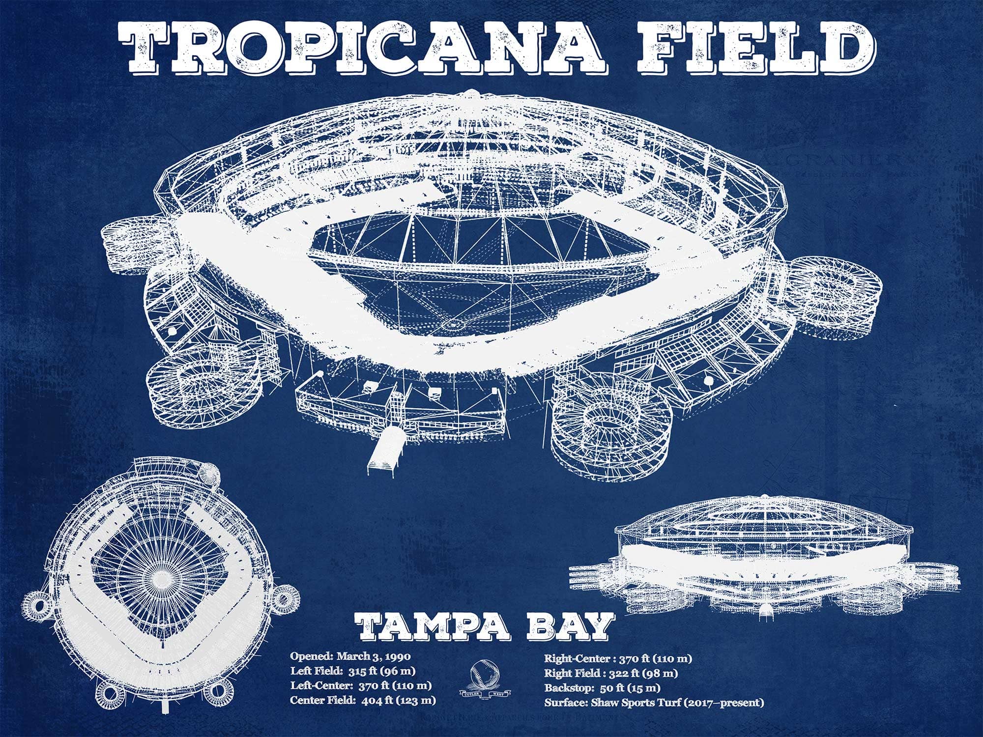 Cutler West Baseball Collection 14" x 11" / Unframed Tampa Bay Rays Tropicana Field Vintage Wall Art 845000154_8839