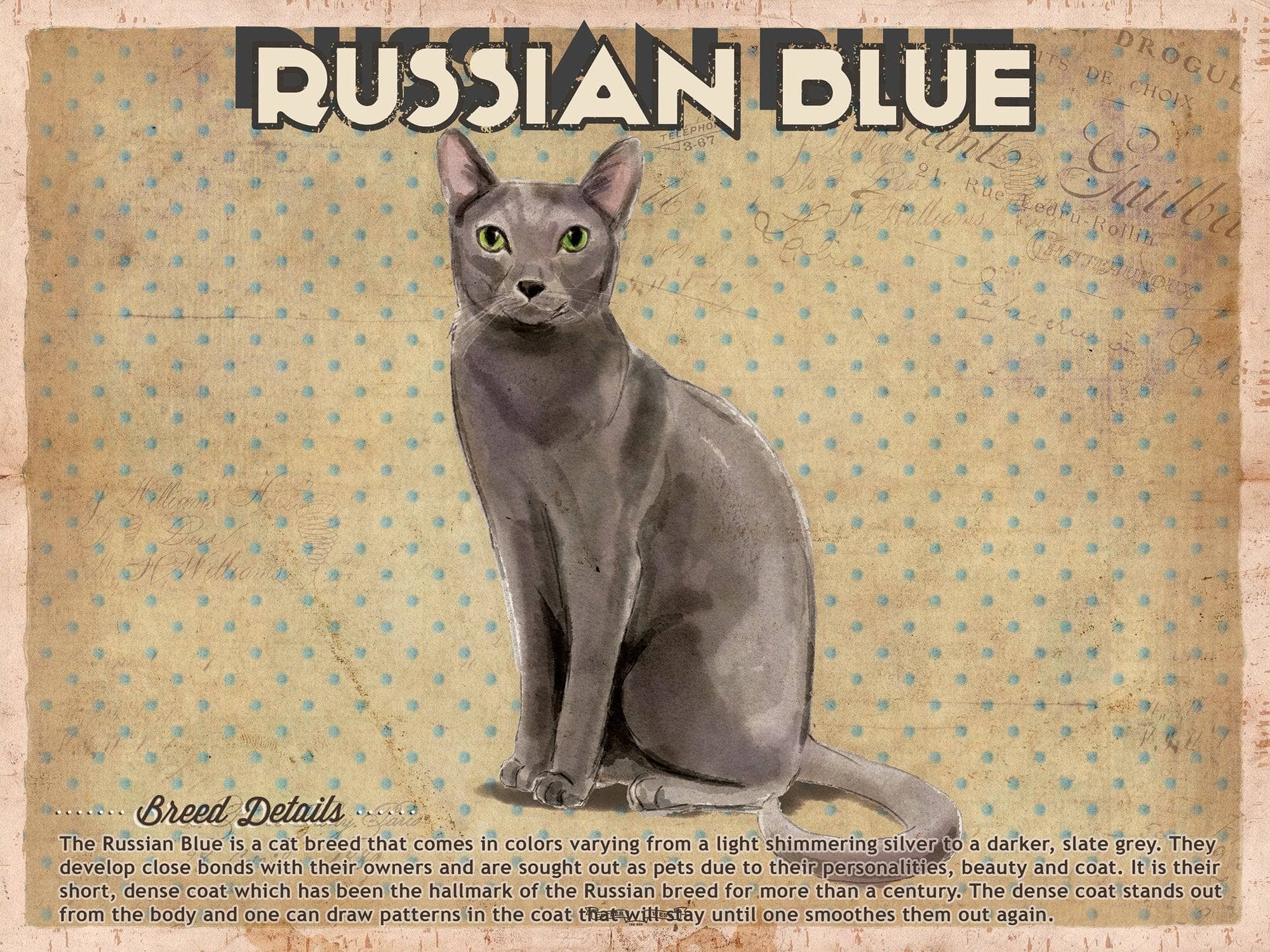 Cutler West Russian Blue Cat Breed Art Print Pet Vintage Print