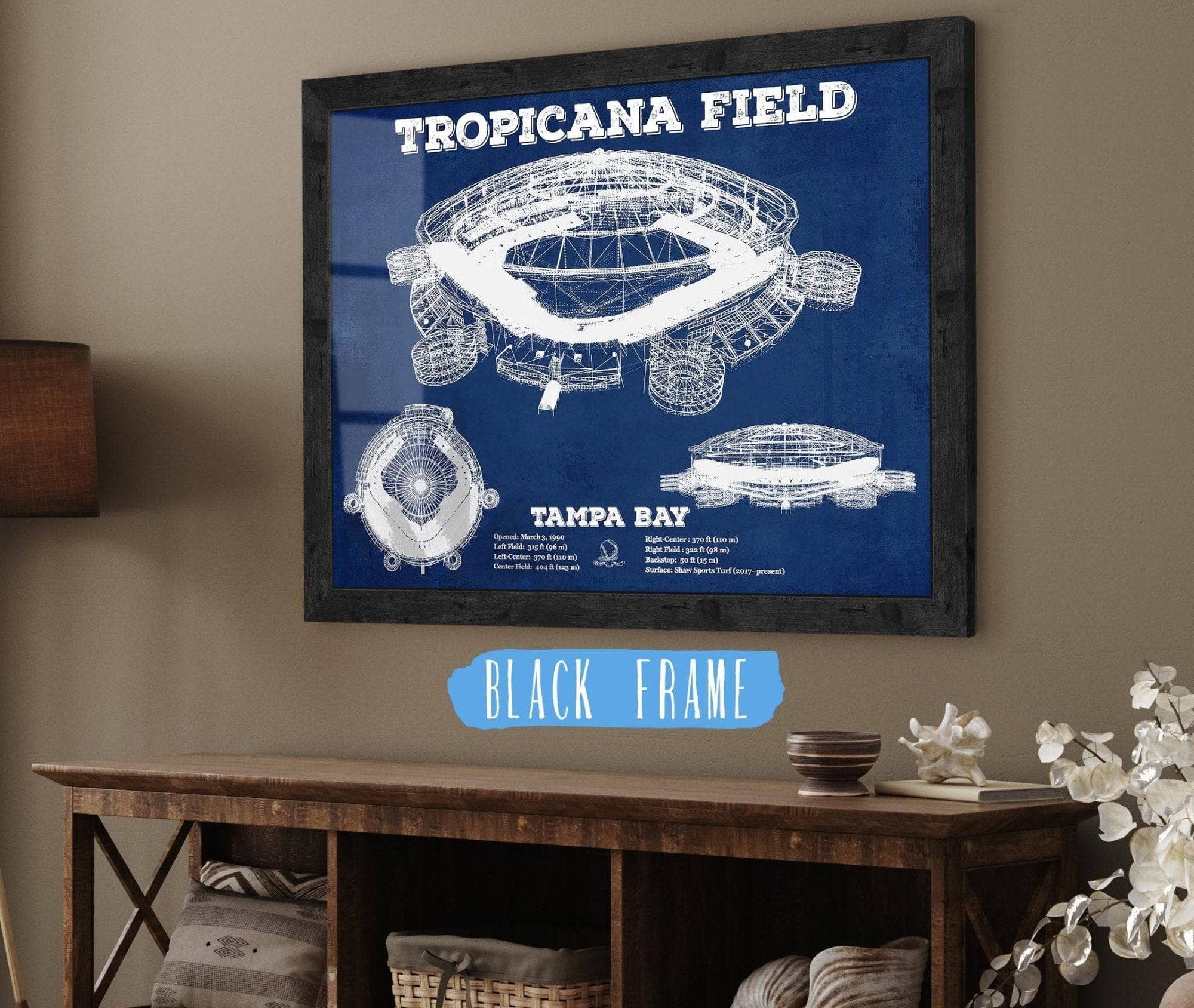Cutler West Baseball Collection 14" x 11" / Black Frame Tampa Bay Rays Tropicana Field Vintage Wall Art 845000154_8840