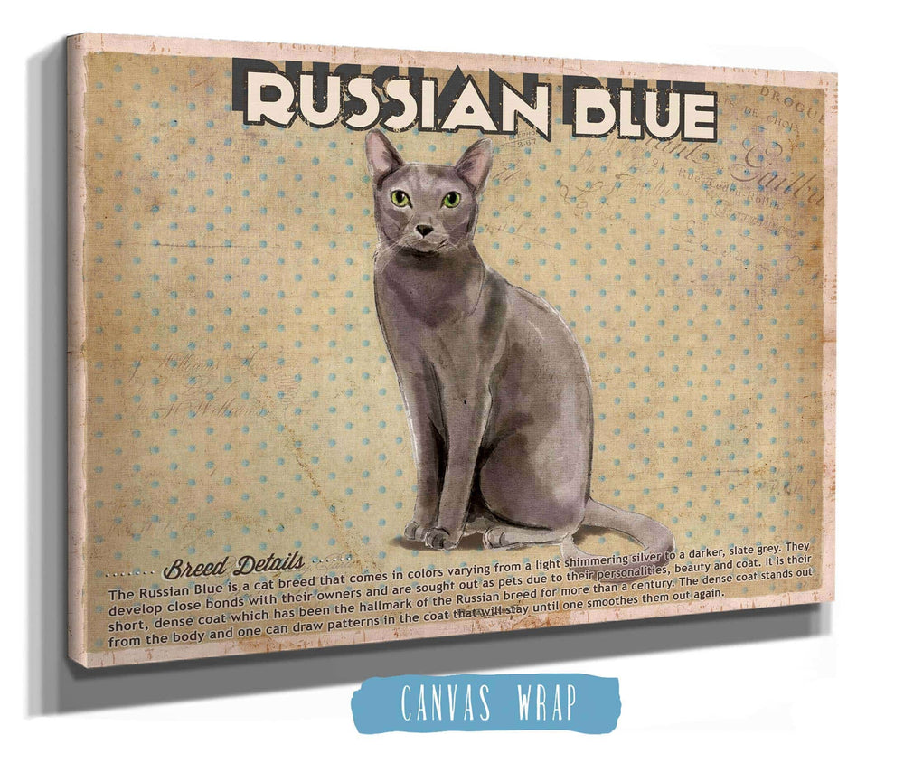 14" x 11" / Stretched Canvas Wrap Cutler West Russian Blue Cat Breed Art Print Pet Vintage Print