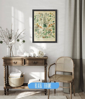 Cutler West Vintage Flower Illustration - Canvas, Framed, Unframed Adolphe Millot Fleurs Botanical Art