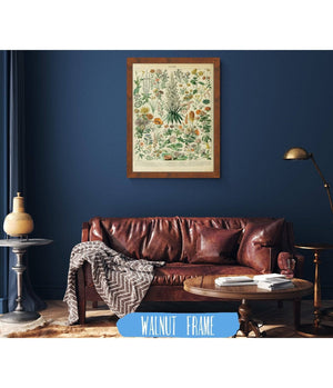 Cutler West Vintage Flower Illustration - Canvas, Framed, Unframed Adolphe Millot Fleurs Botanical Art