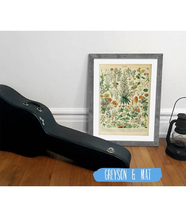 14" x 11" / Greyson Frame & Mat Cutler West Vintage Flower Illustration - Canvas, Framed, Unframed Adolphe Millot Fleurs Botanical Art