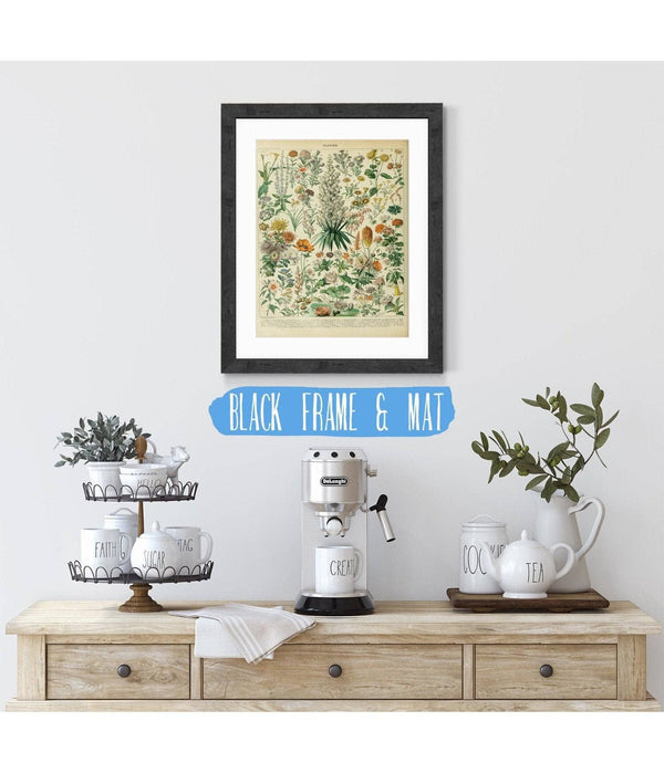 20" x 16" / Black Frame & Mat Cutler West Vintage Flower Illustration - Canvas, Framed, Unframed Adolphe Millot Fleurs Botanical Art